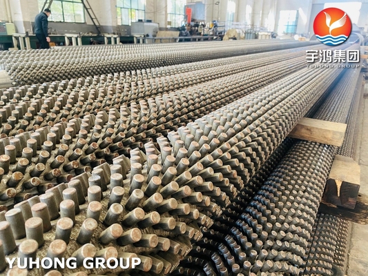 Industrial ASTM A213 Seamless Extruded Fin Pipe Tube With SS409 Studs