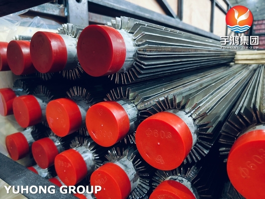 ODM Stainless Steel Longitudinal Finned Tube Heating Pipe ASTM A213 TP316L